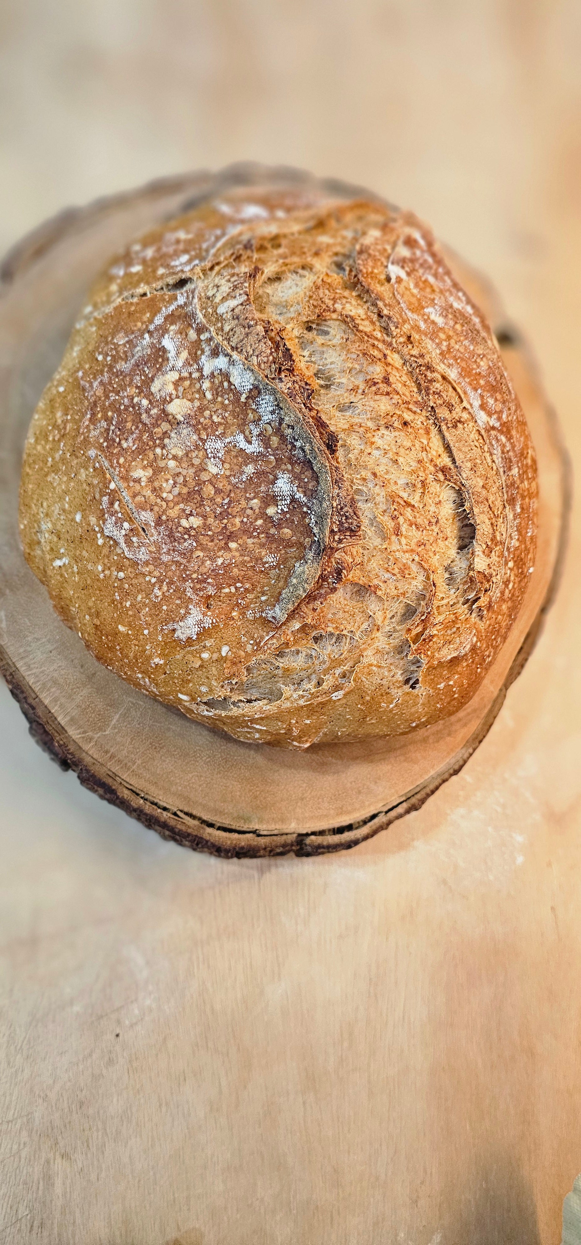 Fresh-Milled Rye Country Sourdough Loaf