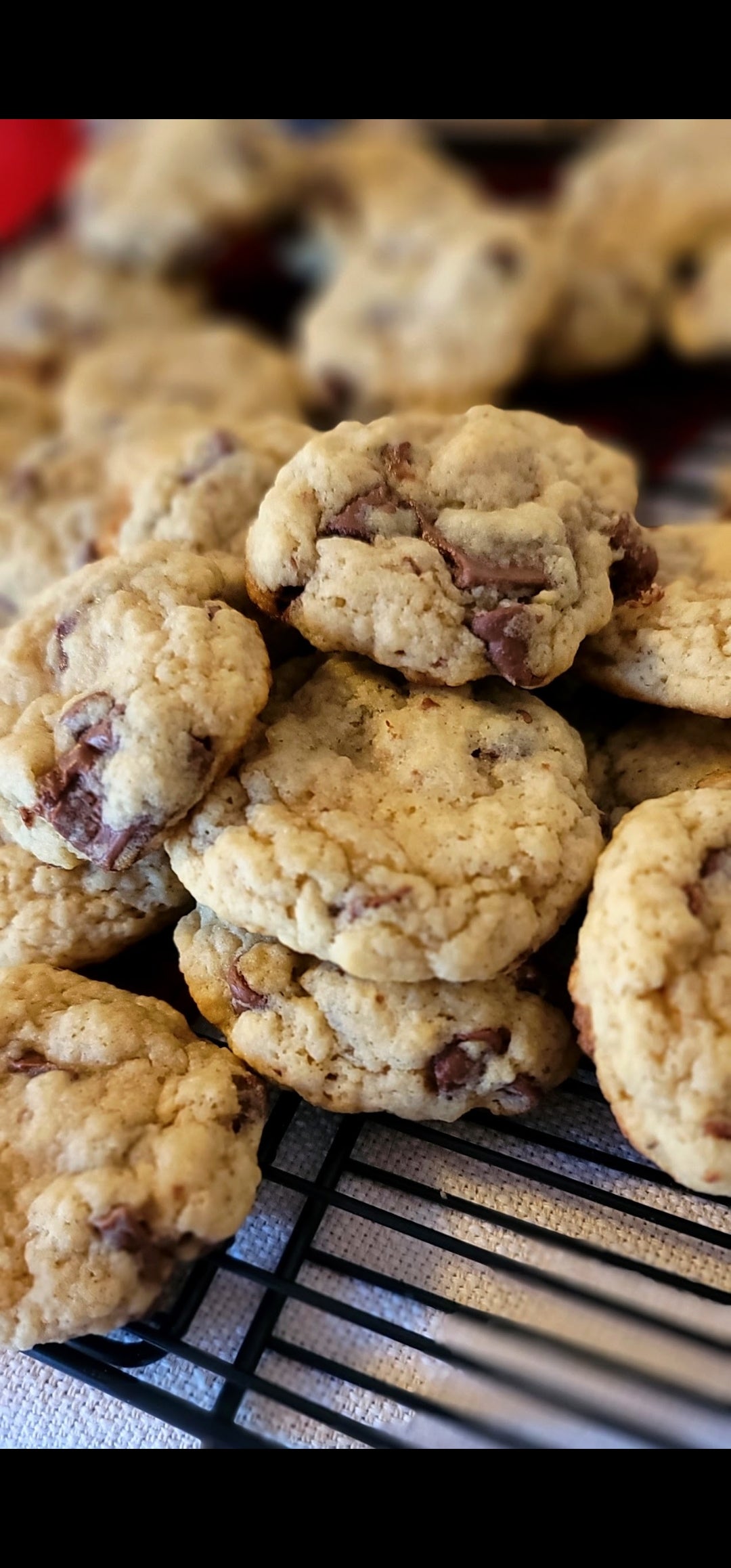 Brown Butter Sourdough Chocolate Chip Cookies- Pack of 6