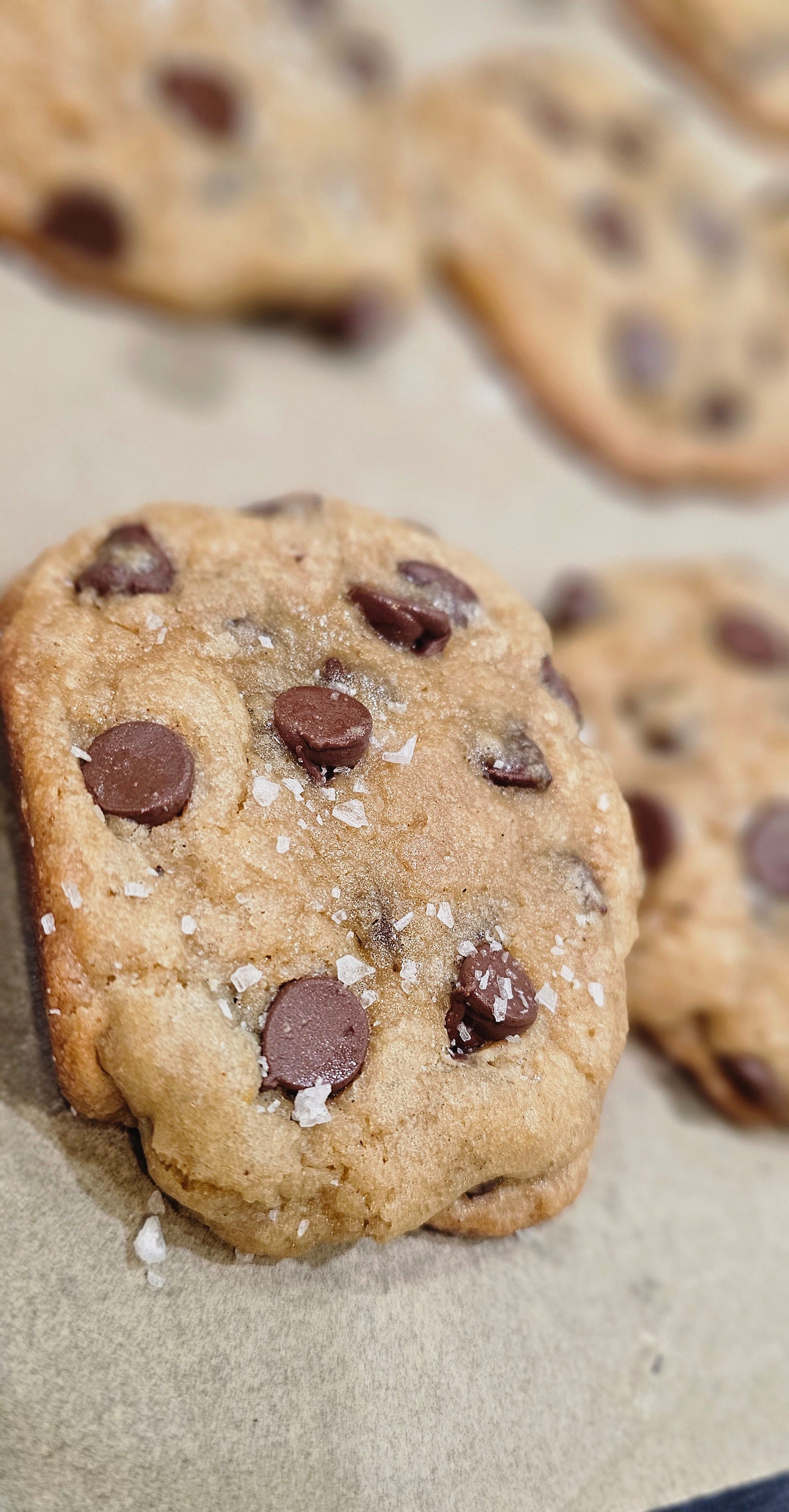 Brown Butter Sourdough Chocolate Chip Cookies- Pack of 6
